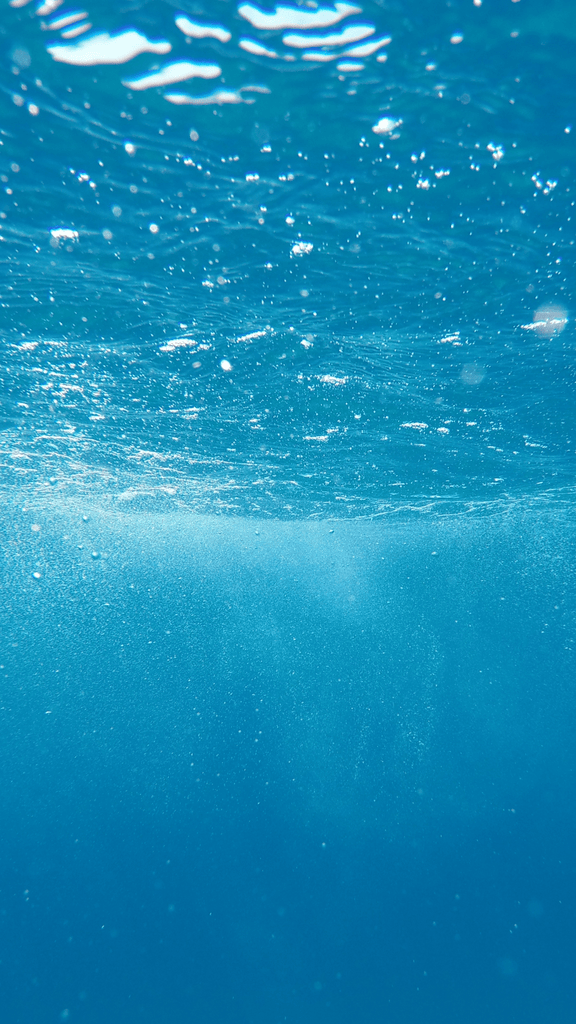 Summer Sale - CollectKicks