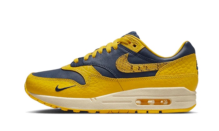 Nike Air Max 1 CO.JP Michigan Head to Head lateral