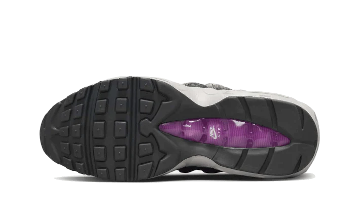 Nike Air Max 95 Viotech Anthracite - SKU: DX2955-001