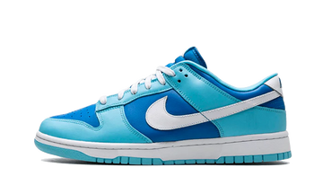 Nike Dunk Low Retro QS Argon lateral