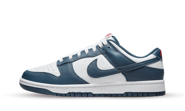 Nike Dunk Low Valerian Blue