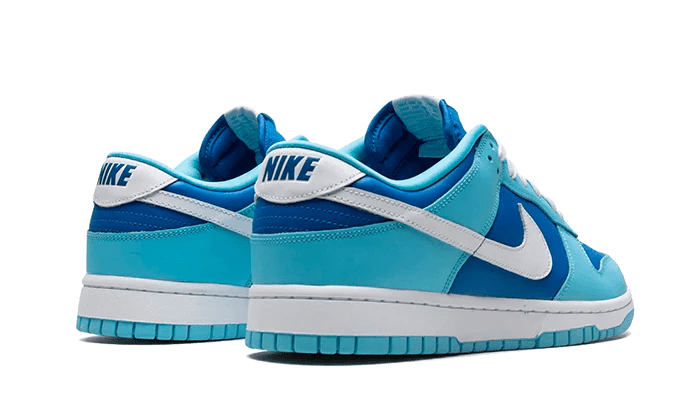 Nike Dunk Low Retro QS Argon  – sneaker autêntico da CollectKicks