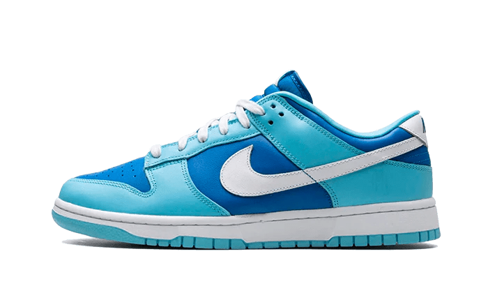 Nike Dunk Low Retro QS Argon  – sneaker autêntico da CollectKicks