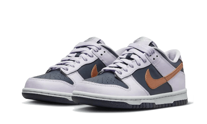 Nike Dunk Low SE Copper Swoosh  – sneaker autêntico da CollectKicks