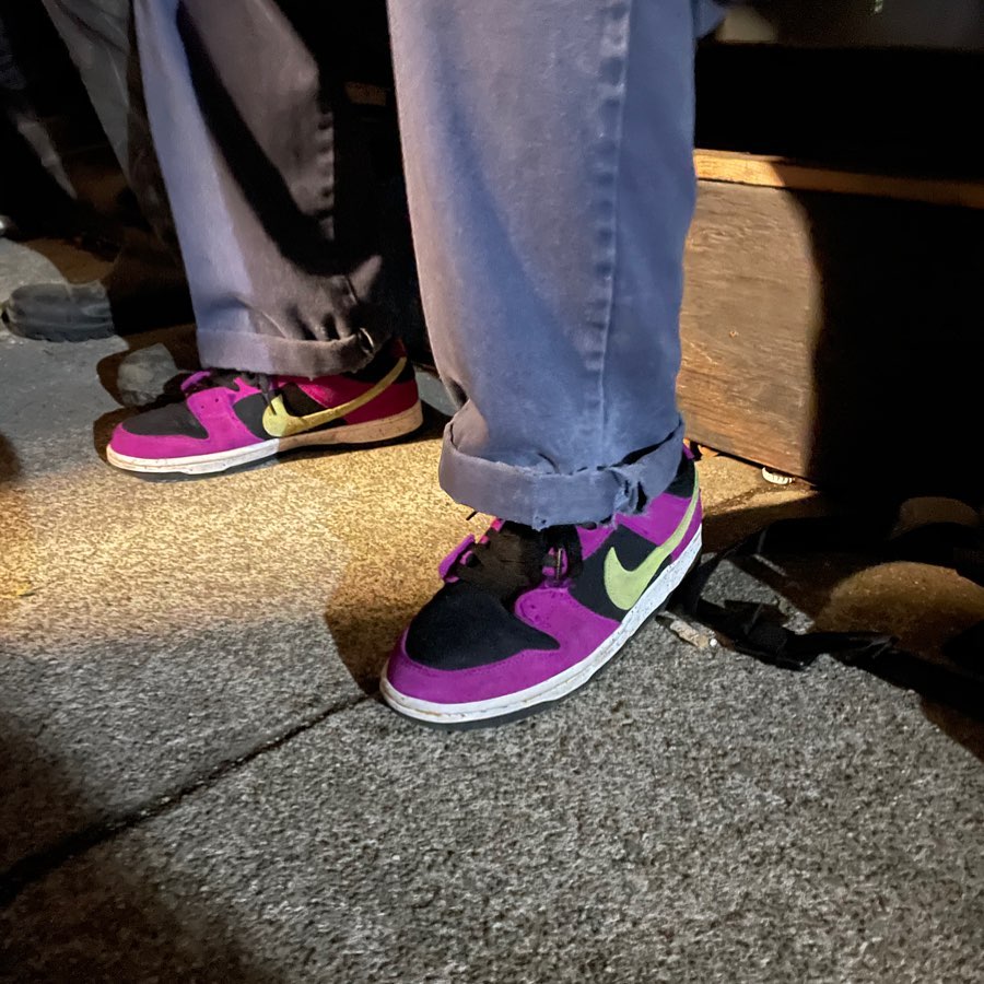 Nike SB Dunk Low Pro ACG Terra Red Plum  – sneaker autêntico da CollectKicks